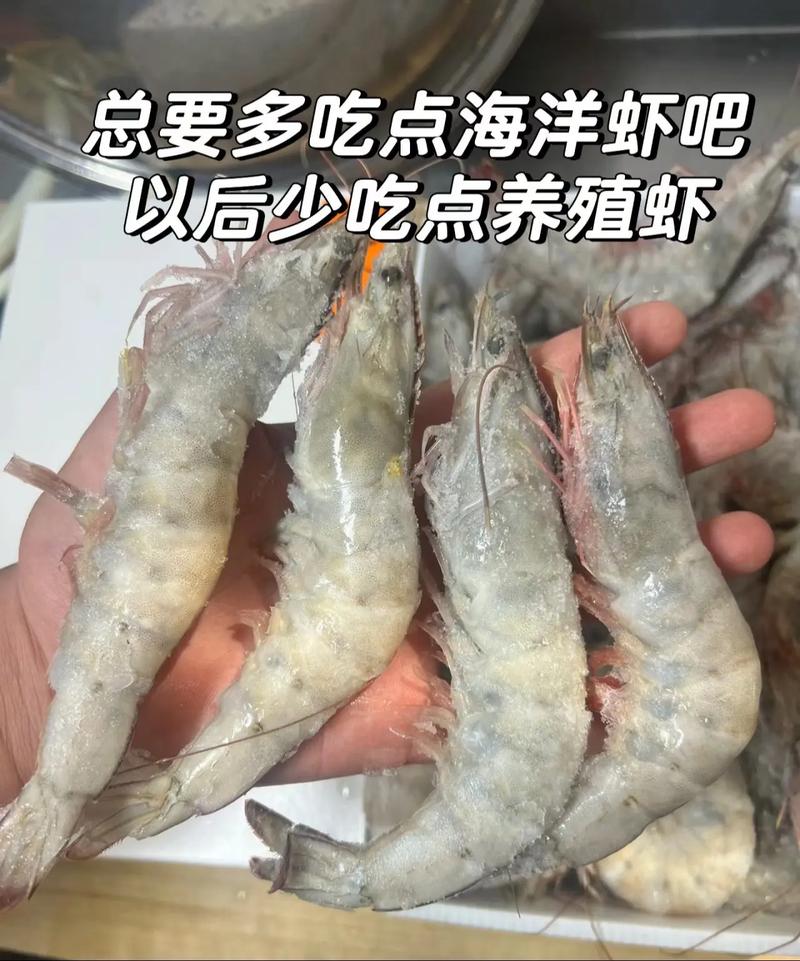 吃海鲜大虾会过敏？教你 3 个安全吃虾小技巧