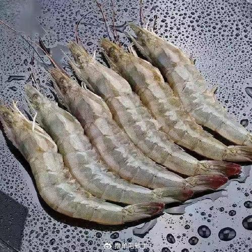 这么好吃的海鲜大虾，居然只要 10 块钱一斤？真的假的